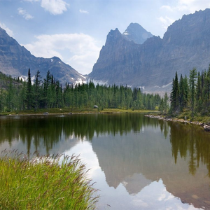 老熟女60岁大战小伙子
