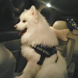 老熟女60岁大战小伙子
