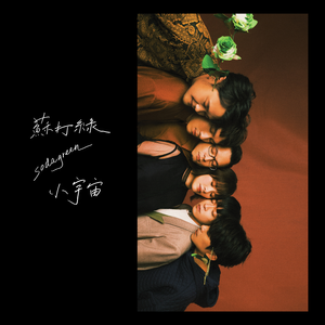 老熟女60岁大战小伙子
